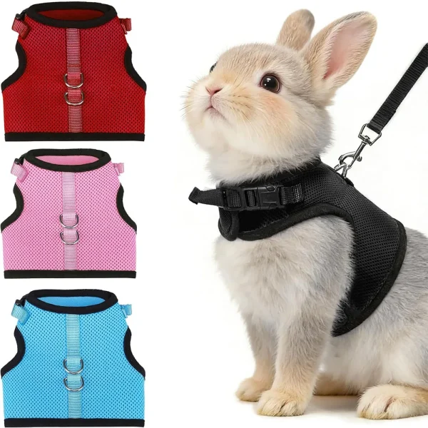 Random 3PCS Rabbit Harness And Leash Set,